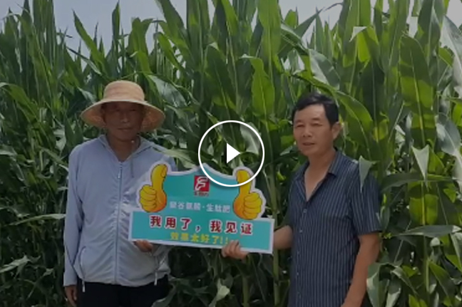 ae712b402196853caae64c999089b0ab